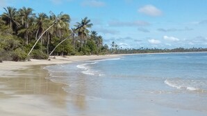 Une plage à l’eau claire, bordée de palmiers et dotée d’un rivage sablonneux.