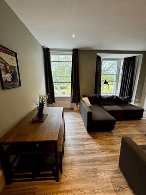 Televisión, chimenea y libros 