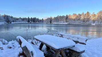 Esports d'hivern i esquí