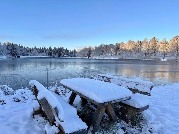 Snow and ski sports - Boutique Hotel am Kranichsee (Goslar)