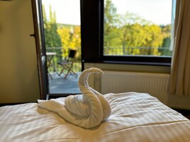 舒适单人房, 阳台, 湖景 | 免费 WiFi、床单