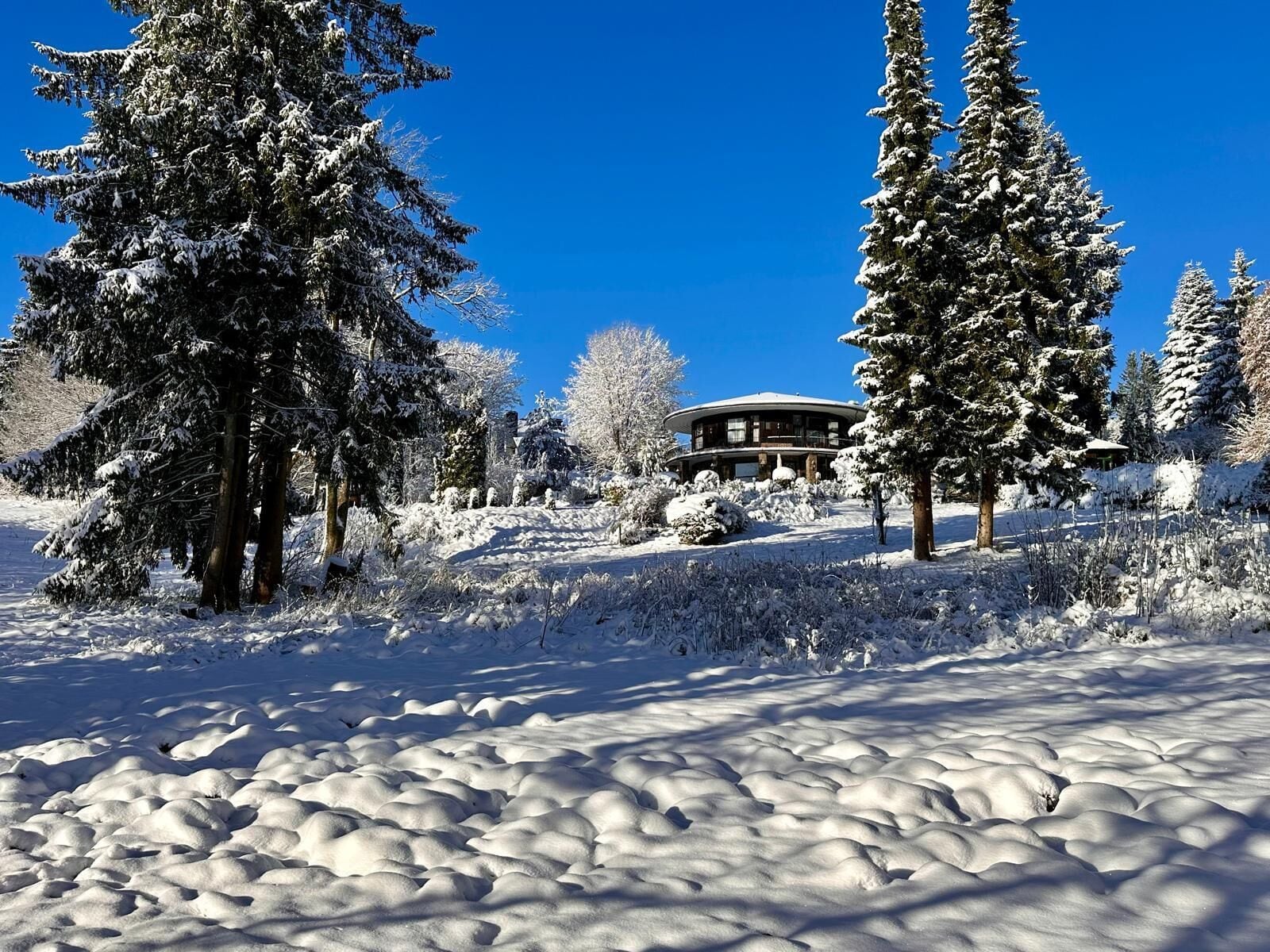 스키 및 겨울 스포츠