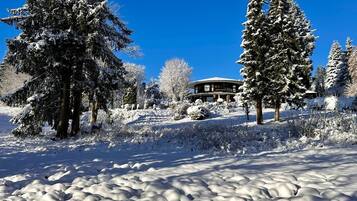 Esports d'hivern i esquí