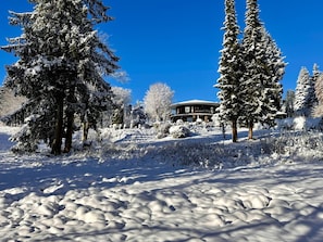 Snow and ski sports - Boutique Hotel am Kranichsee (Goslar)