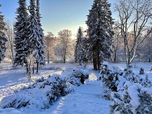 Snow and ski sports - Boutique Hotel am Kranichsee (Goslar)