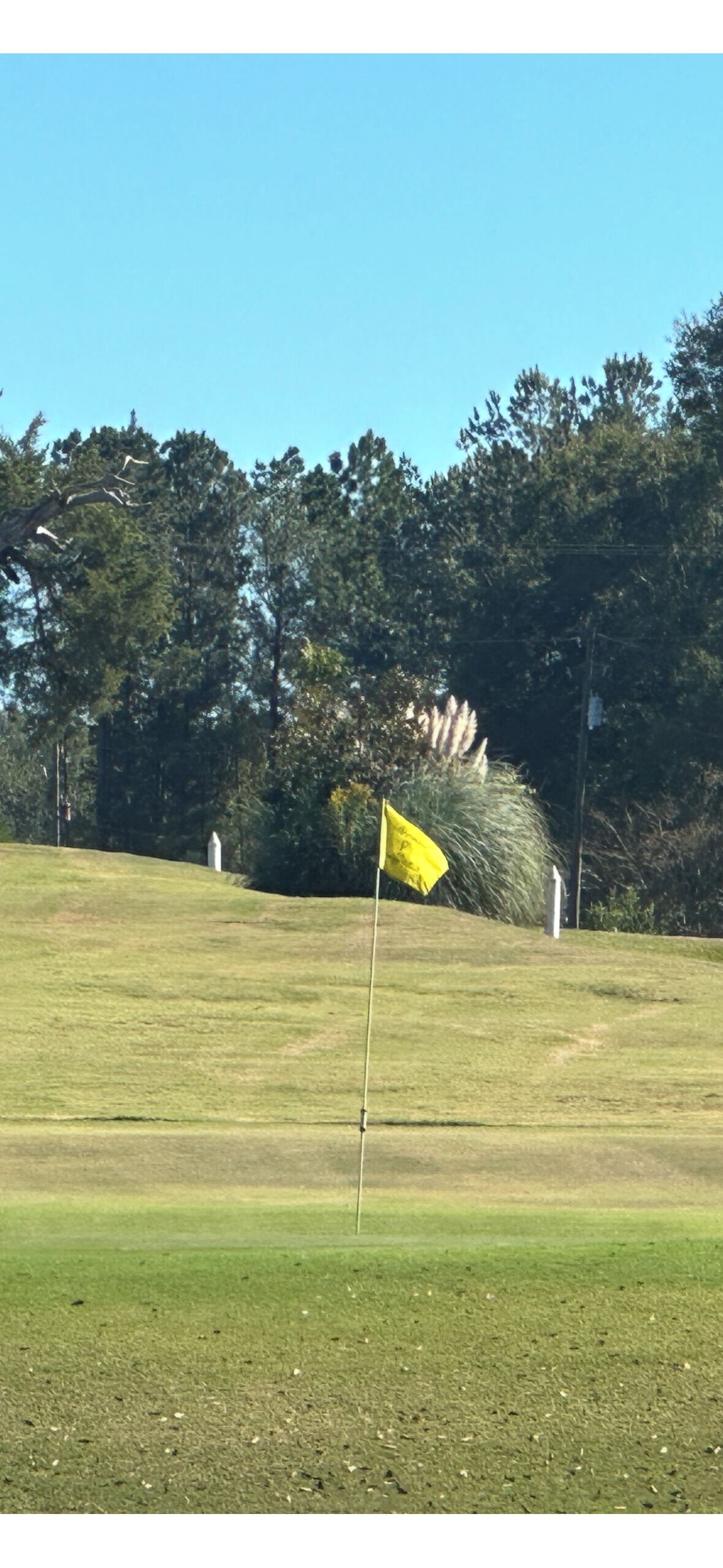 Un parcours de golf avec un mât de drapeau sur un green, entouré d’arbres et sous un ciel dégagé.