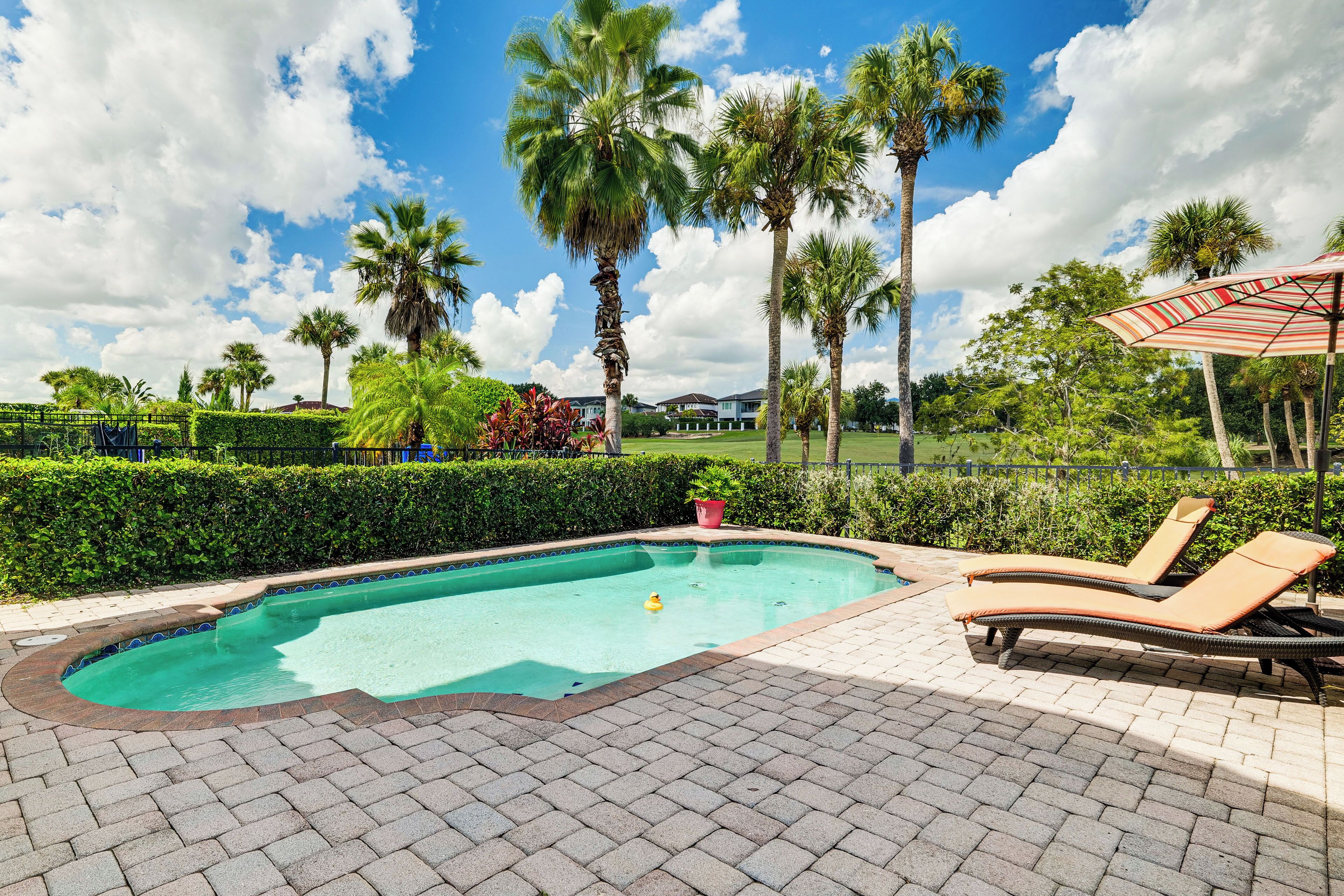 A swimming pool with lounge chairs and an umbrella, surrounded by palm trees and a hedge.