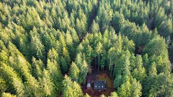 Vue aérienne d’une zone boisée avec une cabane entourée d’arbres denses.