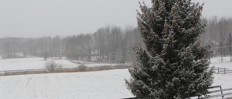 A snow-covered landscape with a single evergreen tree in the foreground and a fence in the background.