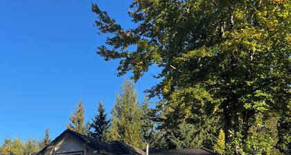 Quiet cozy room with a private Half-bath and shared shower