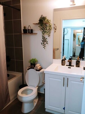 Douche, séchoir à cheveux, bidet, serviettes fournies