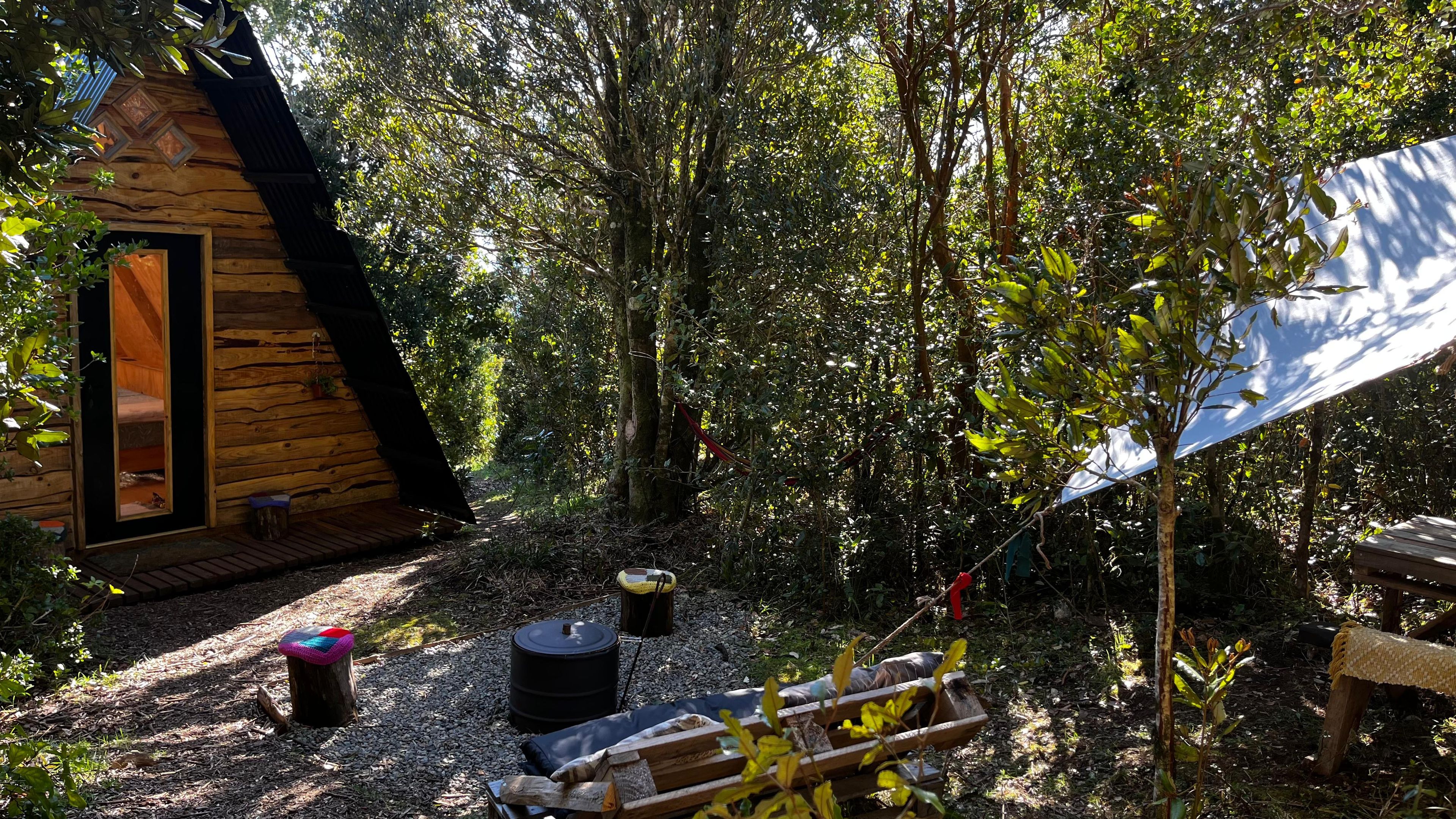 A wooden cabin with a sloped roof, surrounded by dense foliage.
