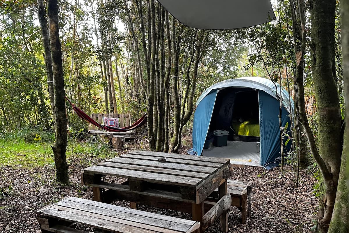A tent set up in a forest with a picnic table nearby.
