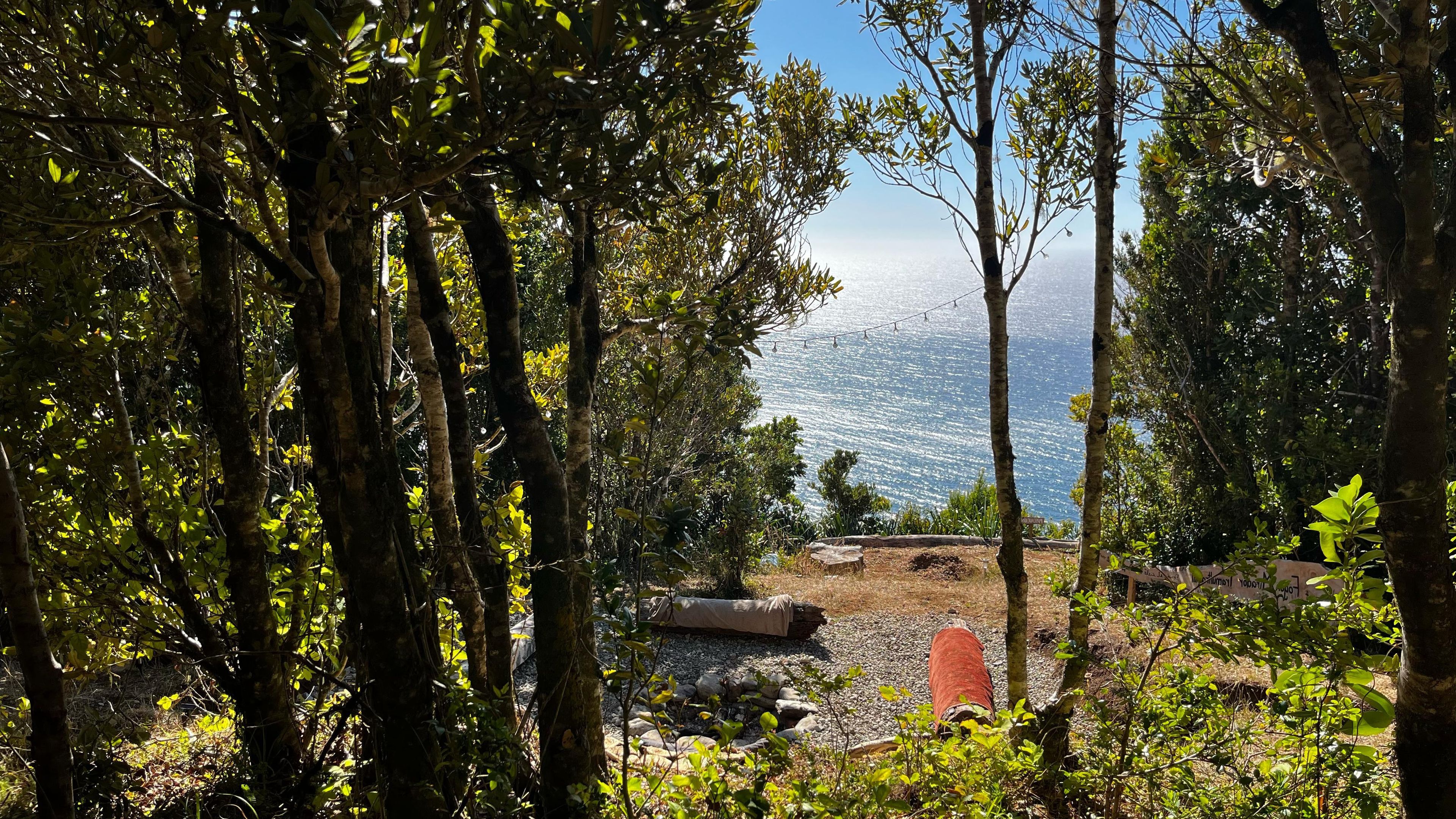 Un paysage naturel avec des arbres, un sentier de gravier et une vue sur la mer.