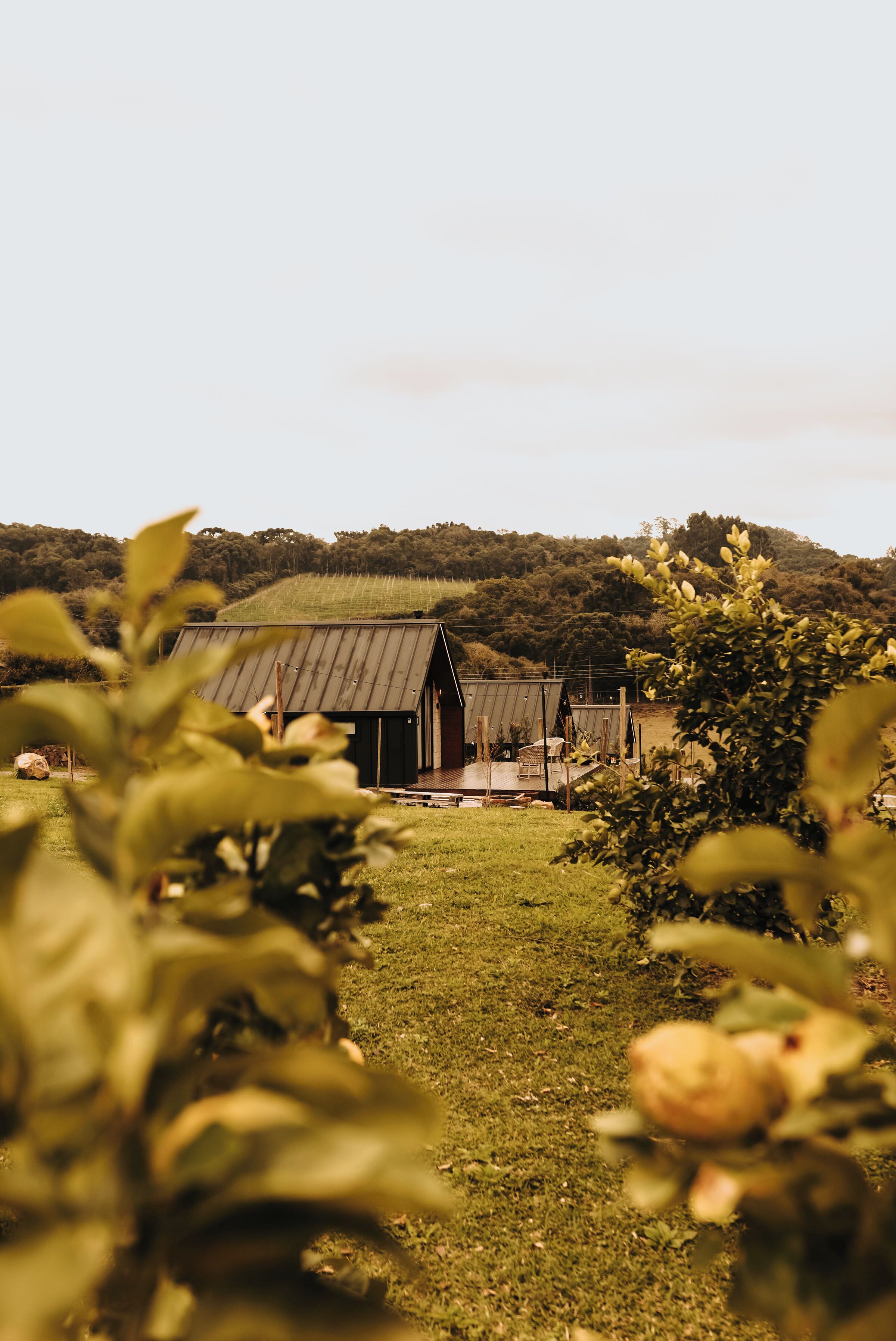 Área da propriedade
