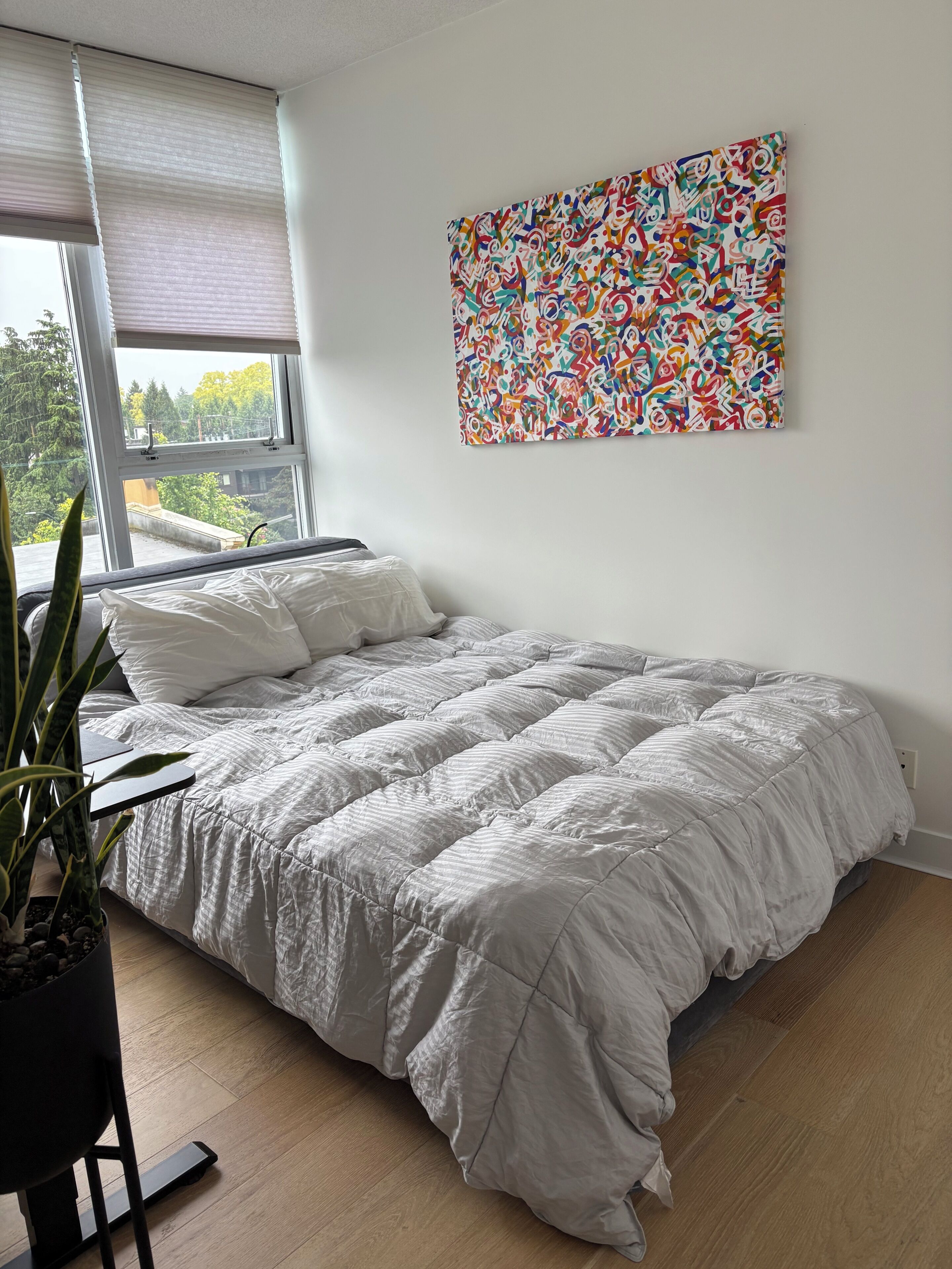 WiFi, bed sheets