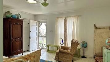 TV connectée, lecteur de DVD, livres, médiathÚque