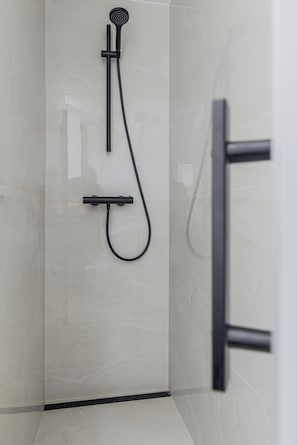 Shower, hair dryer, towels, soap