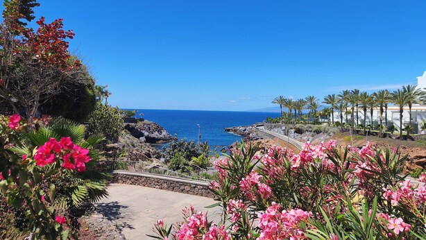 Vista costera con paseo pavimentado, terreno rocoso y plantas con flores.
