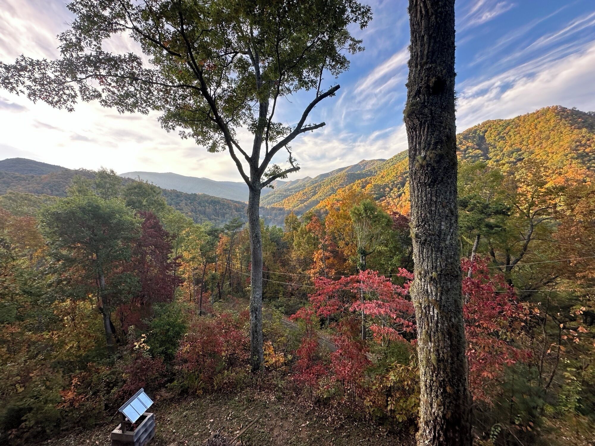 A forested mountain landscape with autumn foliage.