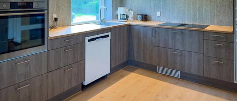 Fridge, oven, stovetop, dishwasher