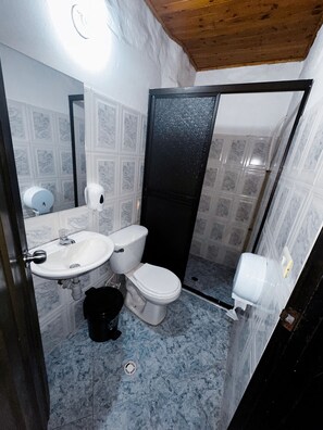 シャワー、タオル、石鹸、トイレットペーパー