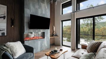 TV, fireplace, offices