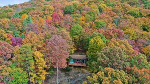 A cabin surrounded by a forest with autumn foliage. - Mountain View Cabin~HotTub~Fireplace~King Bed (New Market)