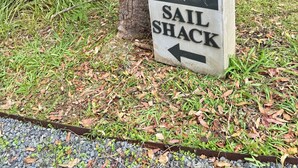 Une enseigne indiquant « Sail Shack », avec une flèche pointant vers la gauche, située dans une zone boisée, au milieu des arbres et de l’herbe.