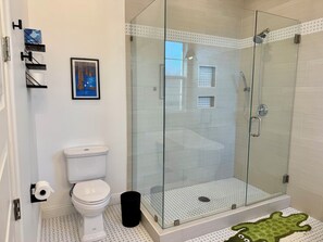Douche, séchoir à cheveux, serviettes fournies, papier de toilette