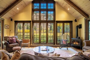 Smart TV, fireplace, DVD player, books