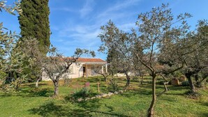 A house with a tiled roof, surrounded by a well-maintained garden with various trees and shrubs. - Awesome home in Fontvieille (Fontvieille)