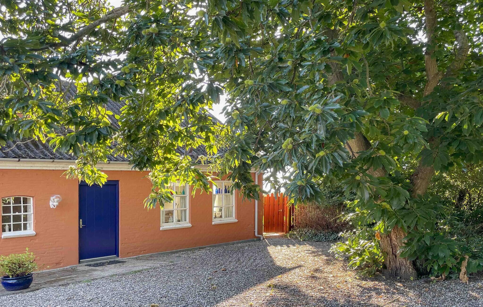 A house with a blue door, a gravel driveway, and a tree with green leaves.