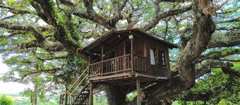 DISFRUTA DEL RIO Y LA NATURALEZA