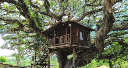 DISFRUTA DEL RIO Y LA NATURALEZA