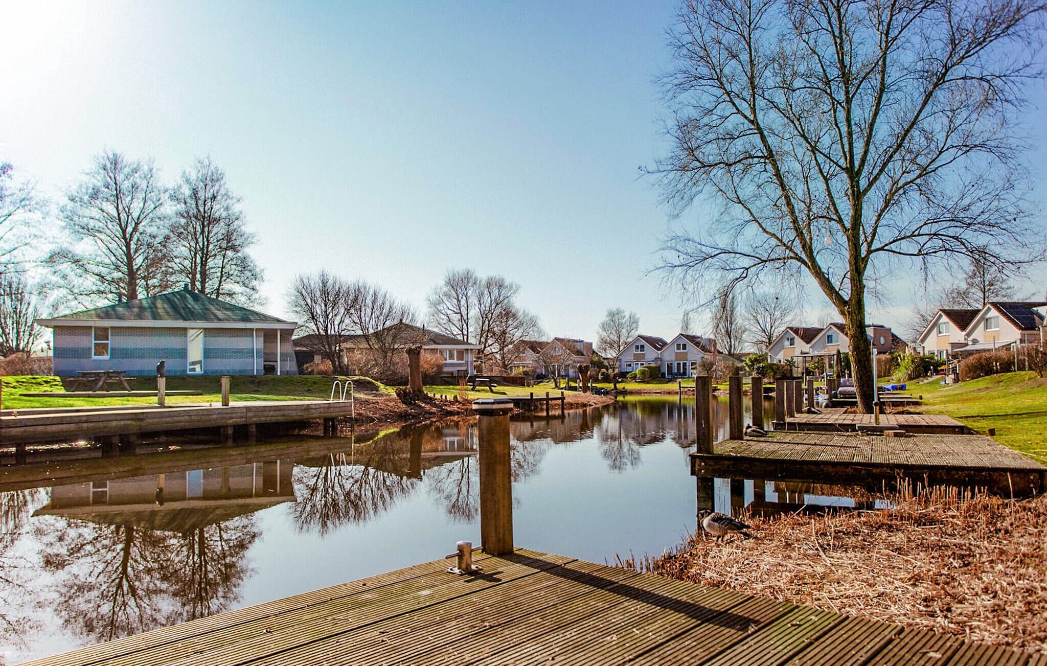 A riverside view with a wooden dock, a house with a green roof, and a clear sky.