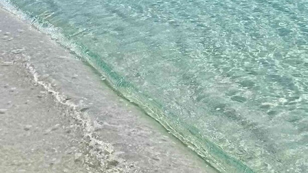Ein freier Blick auf einen Strand mit flachem Wasser und einem Sandufer.