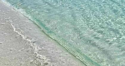 Jetty East | Sleeps 4 | Paradise Palms | Pool | Private Beach