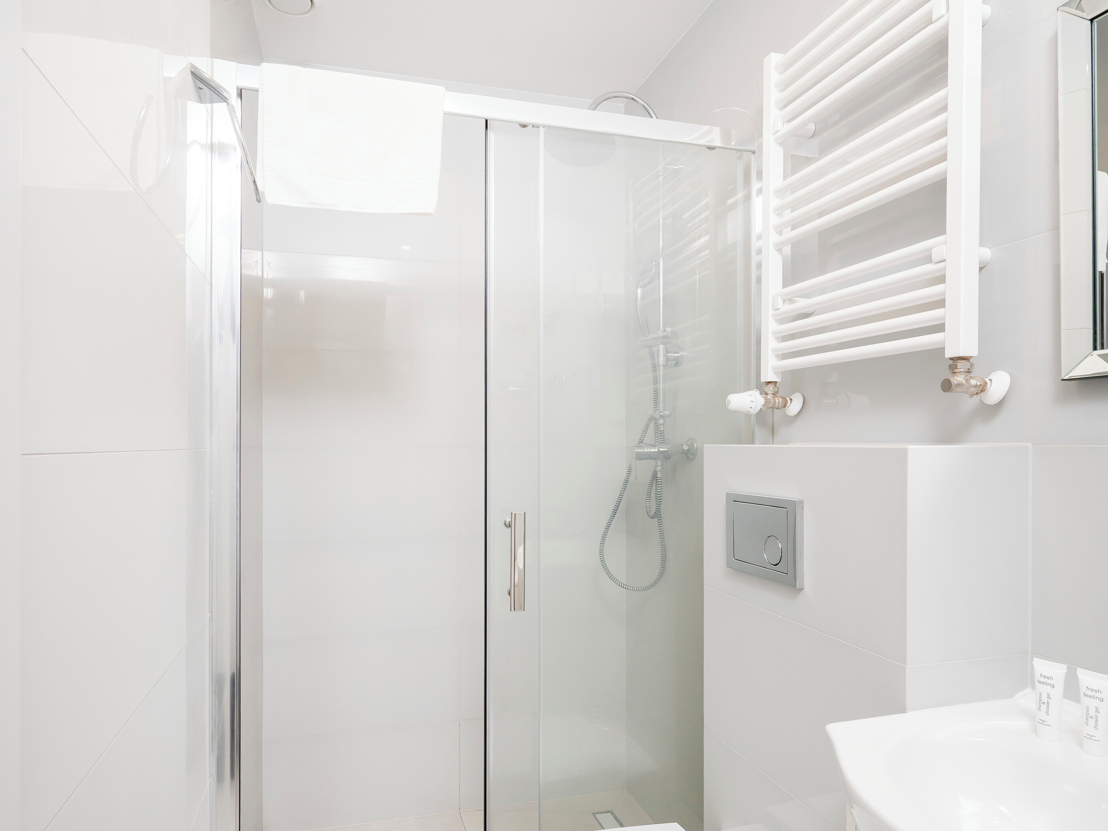 Shower, hair dryer, towels