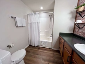 Shower, hair dryer