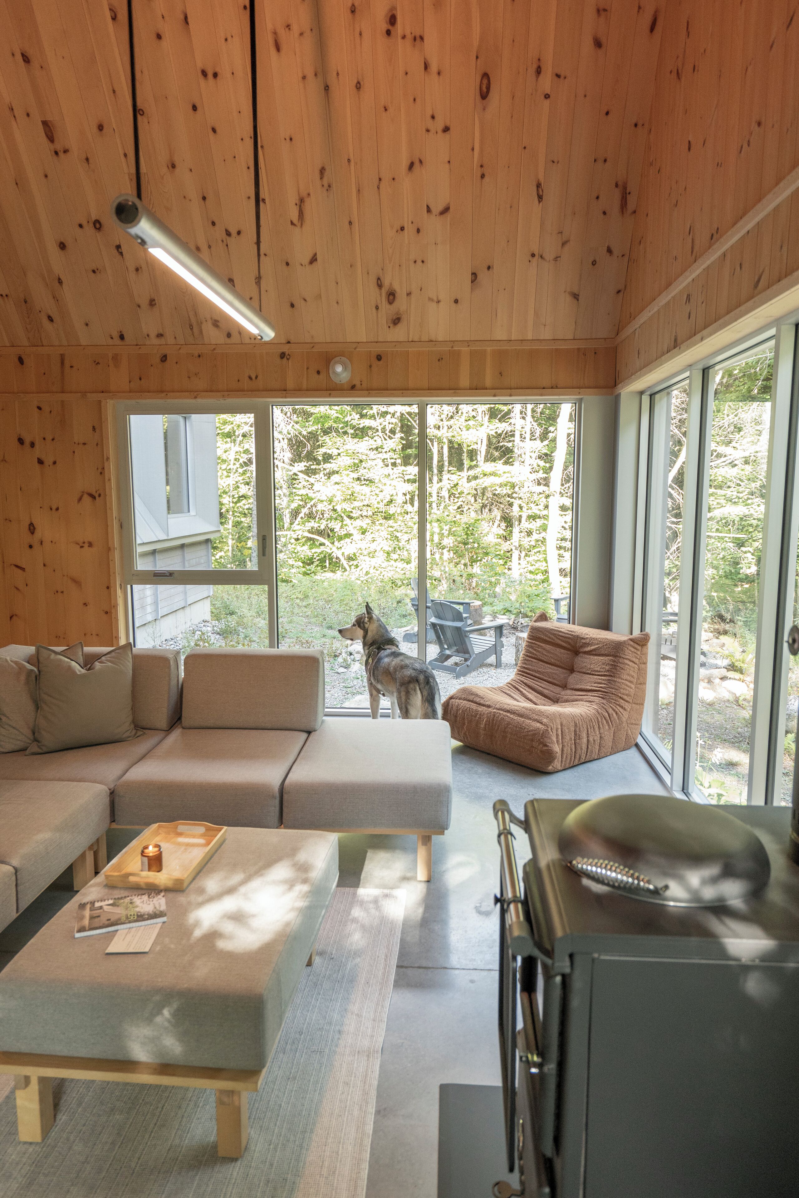 TV connectée, cheminée, livres