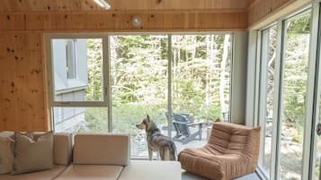 Smart TV, fireplace, books