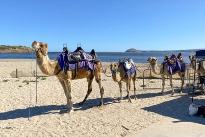 Kingsford Cottage - WIFI, Pet Friendly.