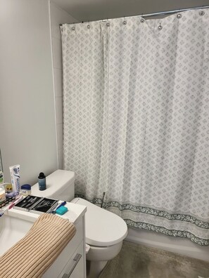 Shower, hair dryer, bidet, towels