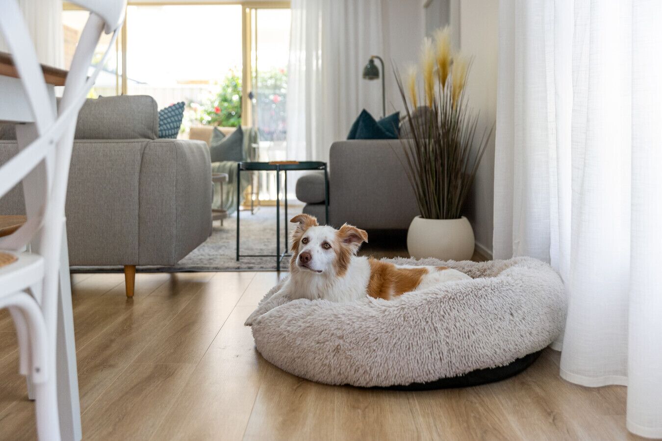 Una televisión, libros