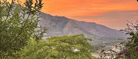 المنطقة المحيطة بالمنشأة