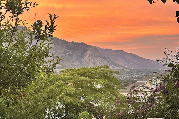 Overnatningsstedets område