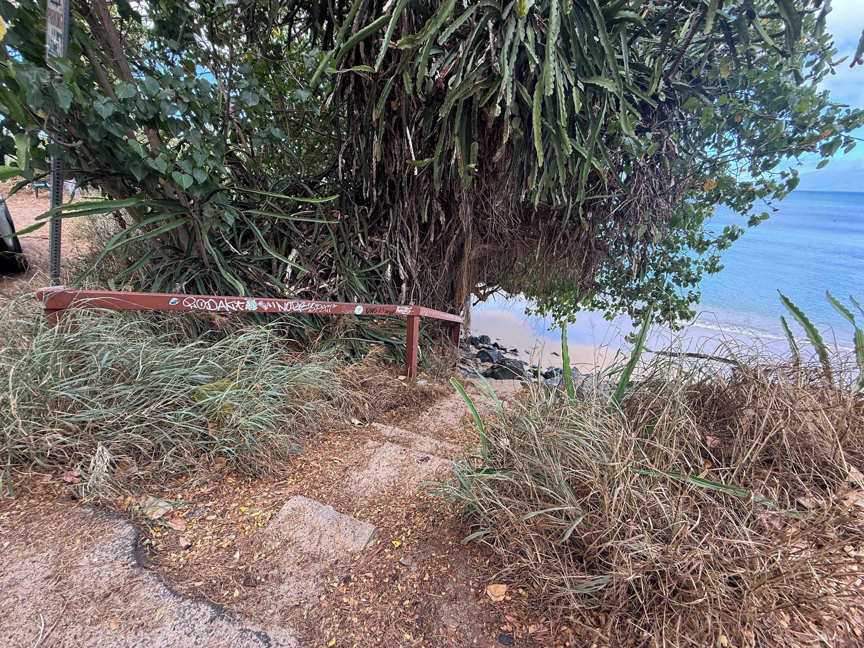 A pathway leading to a beach with a signboard and dense vegetation.