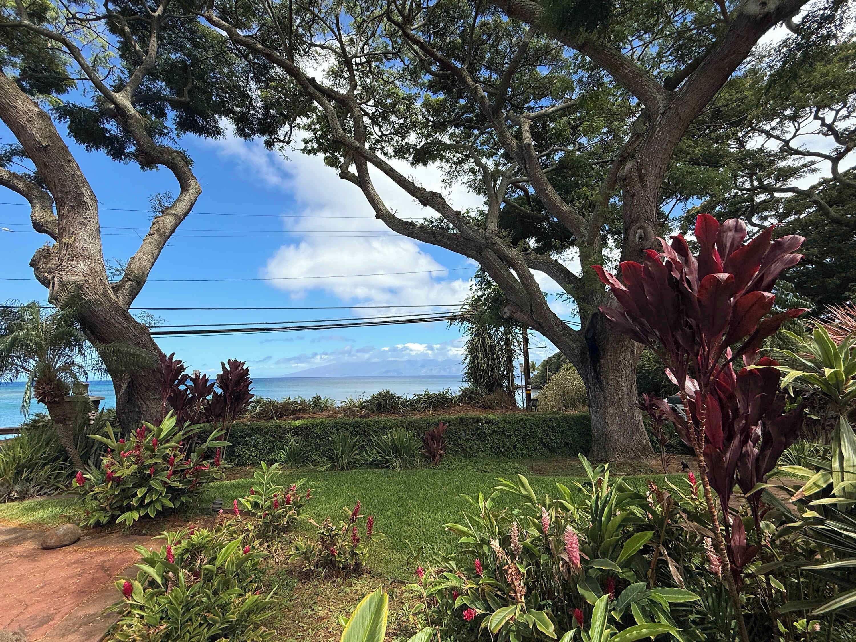 Cottage | Garden view