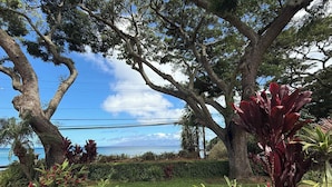 Un jardín con árboles grandes, un sendero y vista al mar.